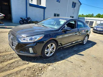 2019 Hyundai Sonata 5NPE34AF2KH735432 Lot 55936036