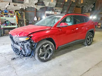 2023 Hyundai Tucson 5NMJECAE9PH260375 Lot 56508156