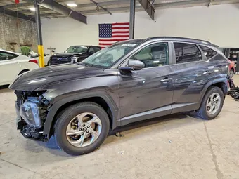 2023 Hyundai Tucson 5NMJBCAE2PH192574 Lot 57392486