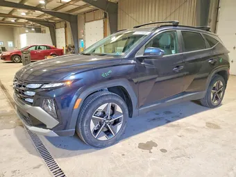 2025 Hyundai Tucson KM8JCDD14SU251486 Lot 53059686