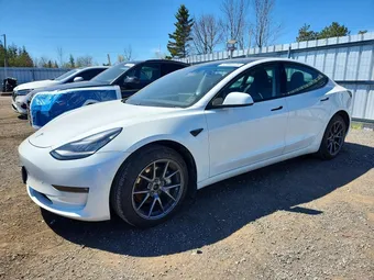 2021 Tesla Model 3 5YJ3E1EB2MF855191 Lot 52890346