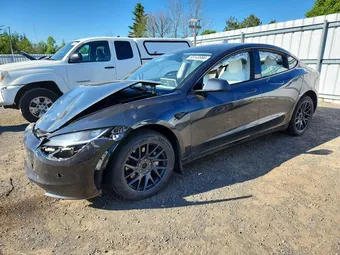 2024 Tesla Model 3 LRW3E7EBXRC262571 Lot 55143986