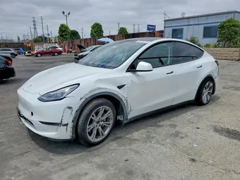 2020 Tesla Model Y 5YJYGDEE0LF031894 Lot 53216146