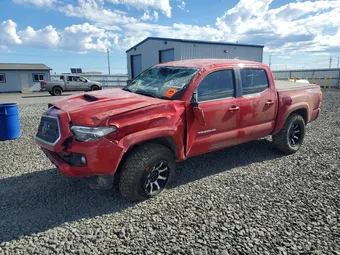 2019 Toyota Tacoma 3TMCZ5ANXKM280696 Lot 57954986