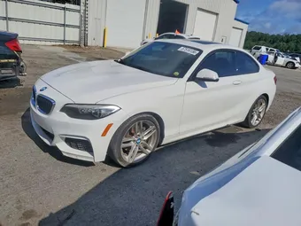 2015 BMW 2 Series WBA1F5C53FV257492