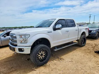 2015 Ford F-150 1FTEW1EGXFFB61784 Lot 55170296