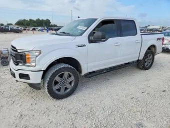2019 Ford F-150 1FTEW1E5XKKE59428 Lot 59584396