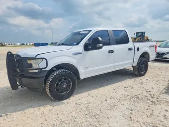 2015 Ford F-150 1FTEW1EG1FKE51869 Lot 58511296