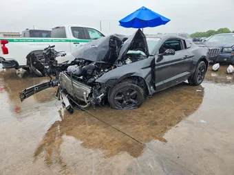 2019 Ford Mustang 1FA6P8THXK5178189 Lot 50733856