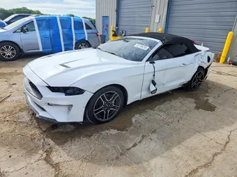 2019 Ford Mustang 1FATP8UH4K5104378 Lot 52199256