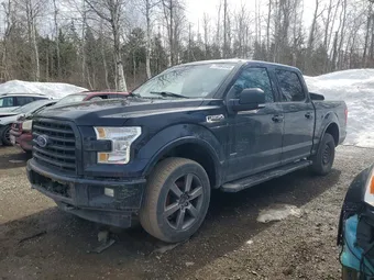 2017 Ford F-150 1FTEW1EP6HFC10210 Lot 77084645