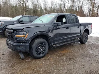 2024 Ford F-150 1FTEW3LP1RKD11324 Lot 41886446