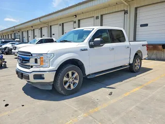 2019 Ford F-150 1FTEW1E57KKC07703 Lot 55182796