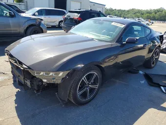2024 Ford Mustang 1FA6P8TH3R5109841 Lot 56361306