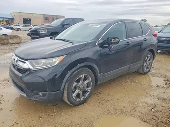 2019 Honda CR-V 2HKRW1H55KH512497 Lot 50830966