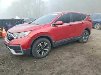 2021 Honda CR-V 5J6RW2H76ML026233 Lot 50841296