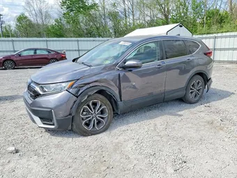 2020 Honda CR-V 5J6RW2H81LL046039 Lot 50062446