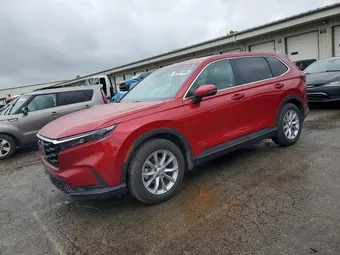 2024 Honda CR-V 7FARS4H42RE016560 Lot 50991456