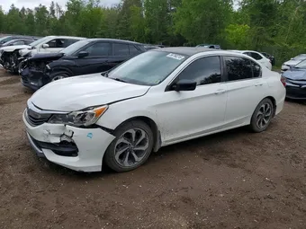 2017 Honda Accord 1HGCR2F38HA806157 Lot 56790216