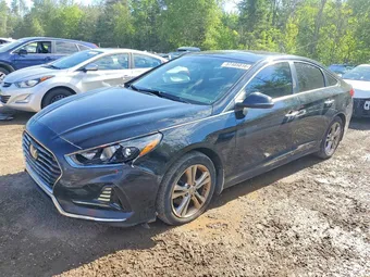 2019 Hyundai Sonata 5NPE34AF5KH775052 Lot 57405816