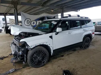 2025 Hyundai Santa Fe 5NMP5DG12SH066896 Lot 50196366