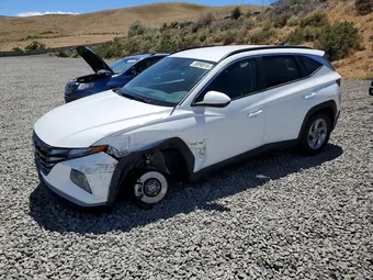 2024 Hyundai Tucson 5NMJBCDEXRH384825 Lot 58998516