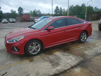 2019 Hyundai Sonata 5NPE34AF5KH737384 Lot 58117146