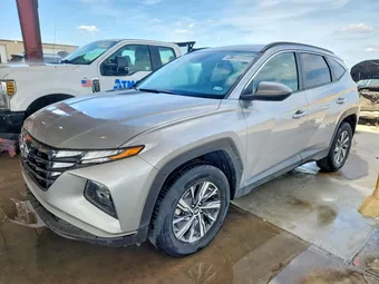2024 Hyundai Tucson KM8JBCD12RU195247 Lot 47998866
