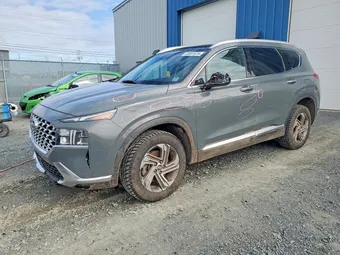 2023 Hyundai Santa Fe 5NMS3DAJ4PH594522 Lot 50501676