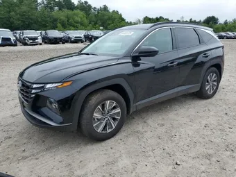 2024 Hyundai Tucson KM8JBCD13RU182409 Lot 64433125
