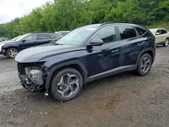 2024 Hyundai Tucson KM8JCCD16RU217442 Lot 59167916