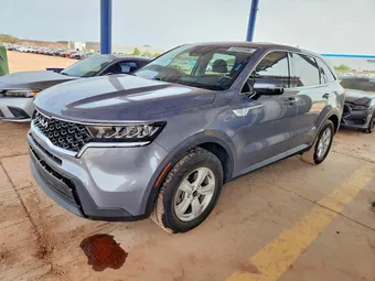 2023 Kia Sorento 5XYRG4LC0PG189916 Lot 53995996