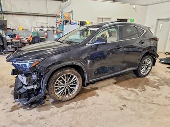 2025 Lexus NX 2T2GGCEZ6SC089452