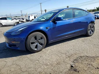 2021 Tesla Model 3 5YJ3E1EB0MF037880 Lot 52804136