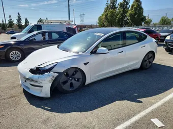 2023 Tesla Model 3 5YJ3E1EA4PF561836 Lot 53645286