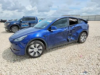 2021 Tesla Model Y 5YJYGDED0MF109356 Lot 56382146