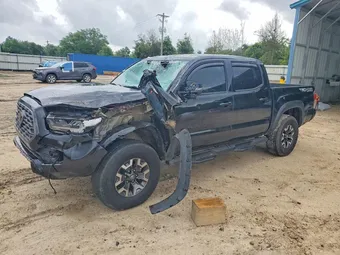 2023 Toyota Tacoma 3TMCZ5AN8PM588084 Lot 54343466
