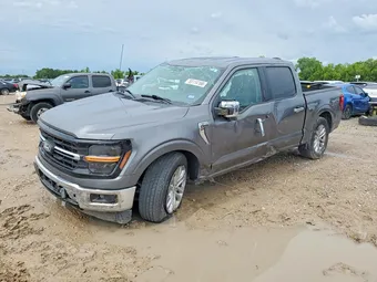 2024 Ford F-150 1FTEW3KP0RKD41058 Lot 55114166