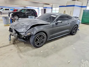 2019 Ford Mustang 1FA6P8TH2K5172077 Lot 51822616