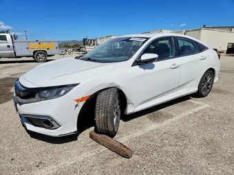 2020 Honda Civic 19XFC1F34LE206684 Lot 49010266
