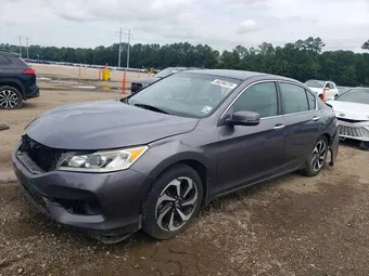 2017 Honda Accord 1HGCR2F81HA024407 Lot 56396376