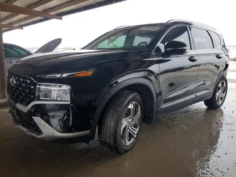 2023 Hyundai Santa Fe 5NMS24AJ6PH656781 Lot 52149756