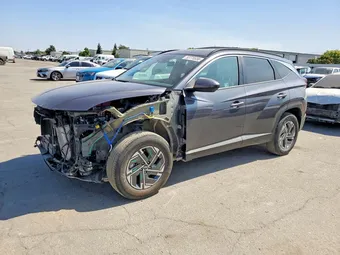 2025 Hyundai Tucson KM8JBDD1XSU287038 Lot 53770556