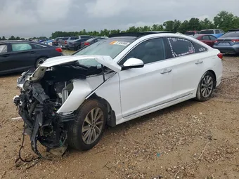 2016 Hyundai Sonata 5NPE34AF0GH287537 Lot 57484996