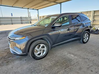 2023 Hyundai Tucson 5NMJBCAE0PH288266 Lot 53190566