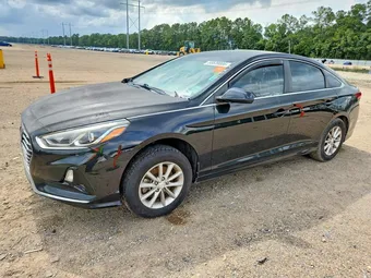 2019 Hyundai Sonata 5NPE24AF2KH777098