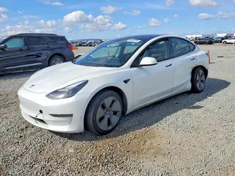 2023 Tesla Model 3 5YJ3E1EA2PF457345 Lot 50369786