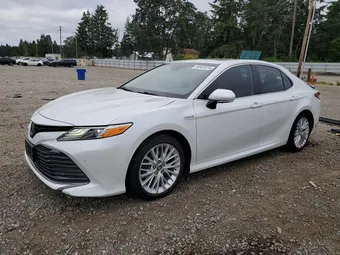 2019 Toyota Camry 4T1B21HK8KU512675 Lot 58981076
