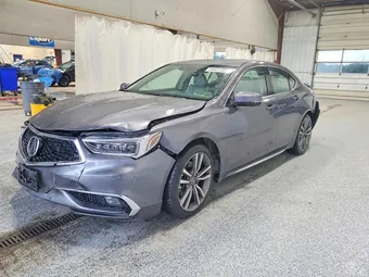 2019 Acura TLX 19UUB3F81KA001148
