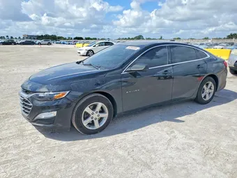 2019 Chevrolet Malibu 1G1ZB5ST5KF226629 Lot 50265996